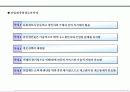 제품시장개발 전략기획서 86페이지