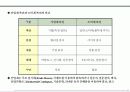 제품시장개발 전략기획서 89페이지