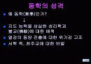 동학(東學)- 사람이 곧, 하늘이니 - 5페이지