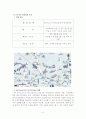 [마케팅] 비디오(DVD)방 감상실 매출 증진 위한 분석 2페이지