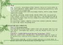 전자상거래의 현황과 전망 10페이지