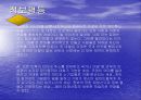 정보산업의 긍정적 효과 7페이지