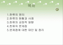 한류열풍의 현재, 문제점, 대안 2페이지