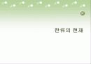 한류열풍의 현재, 문제점, 대안 3페이지