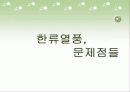 한류열풍의 현재, 문제점, 대안 8페이지