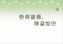 한류열풍의 현재, 문제점, 대안 12페이지