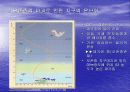 지구온난화현상과 대책 9페이지