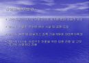 지구온난화현상과 대책 24페이지