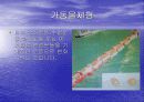 파력 발전 에너지 10페이지
