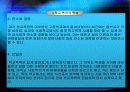 학교폭력의 개념, 유형, 실태, 원인, 문제점, 대책 분석 (2007년 추천 우수 레포트 선정★★★★★) 12페이지