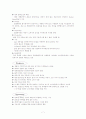 LG전자의 초콜릿폰의 해외시장 유통전략 7페이지