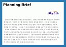[서비스마케팅]매출증대를 위한 스카이라이프 프로모션 전략 4페이지
