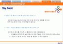 [서비스마케팅]매출증대를 위한 스카이라이프 프로모션 전략 44페이지