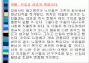 저출산 문제 9페이지