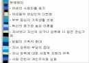 저출산 문제 11페이지