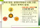 국제 앰네스티 39페이지