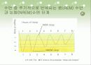 가위눌림의 원인과 역할에  대한 과학적 고찰 8페이지