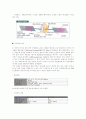 위성통신 25페이지
