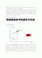 [마케팅] 중소기업의 해외진출전략 - HJC의 해외진출 성공요인분석과 발전 전략 9페이지