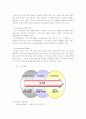 [마케팅] 중소기업의 해외진출전략 - HJC의 해외진출 성공요인분석과 발전 전략 12페이지