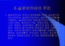 슬로바키아 15페이지