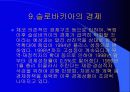 슬로바키아 30페이지