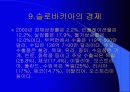 슬로바키아 31페이지