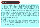 몽골 보고서 8페이지