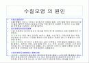 환경오염 3페이지