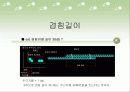 외피형태에 따른 FRP 보강근의 겹침 이음길이 13페이지