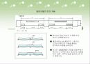 외피형태에 따른 FRP 보강근의 겹침 이음길이 16페이지
