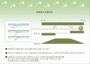 외피형태에 따른 FRP 보강근의 겹침 이음길이 17페이지