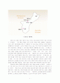 태평양의 새로운 관광지 괌 3페이지