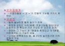 경상도 방언의 특징 고찰 4페이지