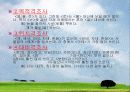 경상도 방언의 특징 고찰 10페이지