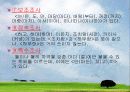 경상도 방언의 특징 고찰 12페이지