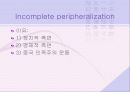 동아시아 발전과 종속이론 43페이지