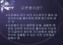 오존층에 대해서. 3페이지