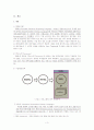 XBRL(확장성 경영보고언어)의 도입과 효과 분석 3페이지
