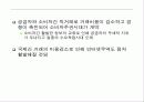 디지털경제시대의 소비자안전망 구축방안 모색 6페이지