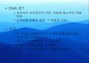 복제인간 8페이지