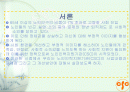 노인인력지원기관에 대한 전반적인 이해 및 현황과 문제점 & 대책 2페이지