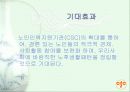 노인인력지원기관에 대한 전반적인 이해 및 현황과 문제점 & 대책 10페이지