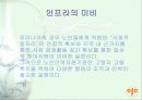 노인인력지원기관에 대한 전반적인 이해 및 현황과 문제점 & 대책 28페이지