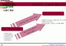 니베아 브랜드 매니지먼트 13페이지