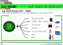 니베아 브랜드 매니지먼트 16페이지