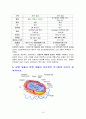 생물학 개론 7페이지