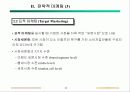 마케팅 기획 12페이지