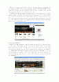 [마케팅] 이색 마케팅 조사 - VIP Marketing 6페이지