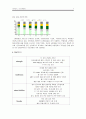 [재무관리] 재무분석 - 한국화장품 12페이지
